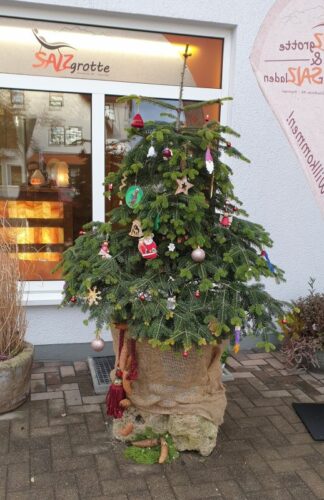 salzgrotte-alb-weihnachtsbaum2023